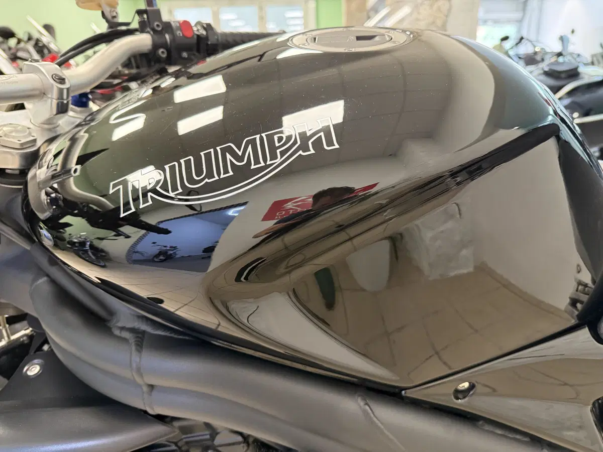 Triumph Speed Triple 1050 (2005 - 11) (4)