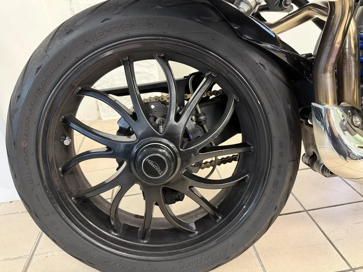 Triumph Speed Triple 1050 (2005 - 11) (6)
