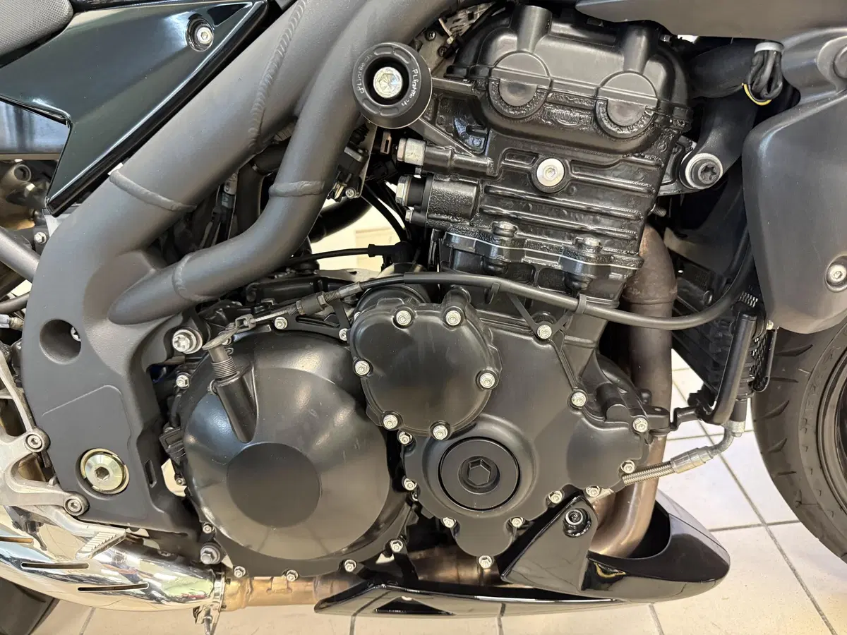 Triumph Speed Triple 1050 (2005 - 11) (7)