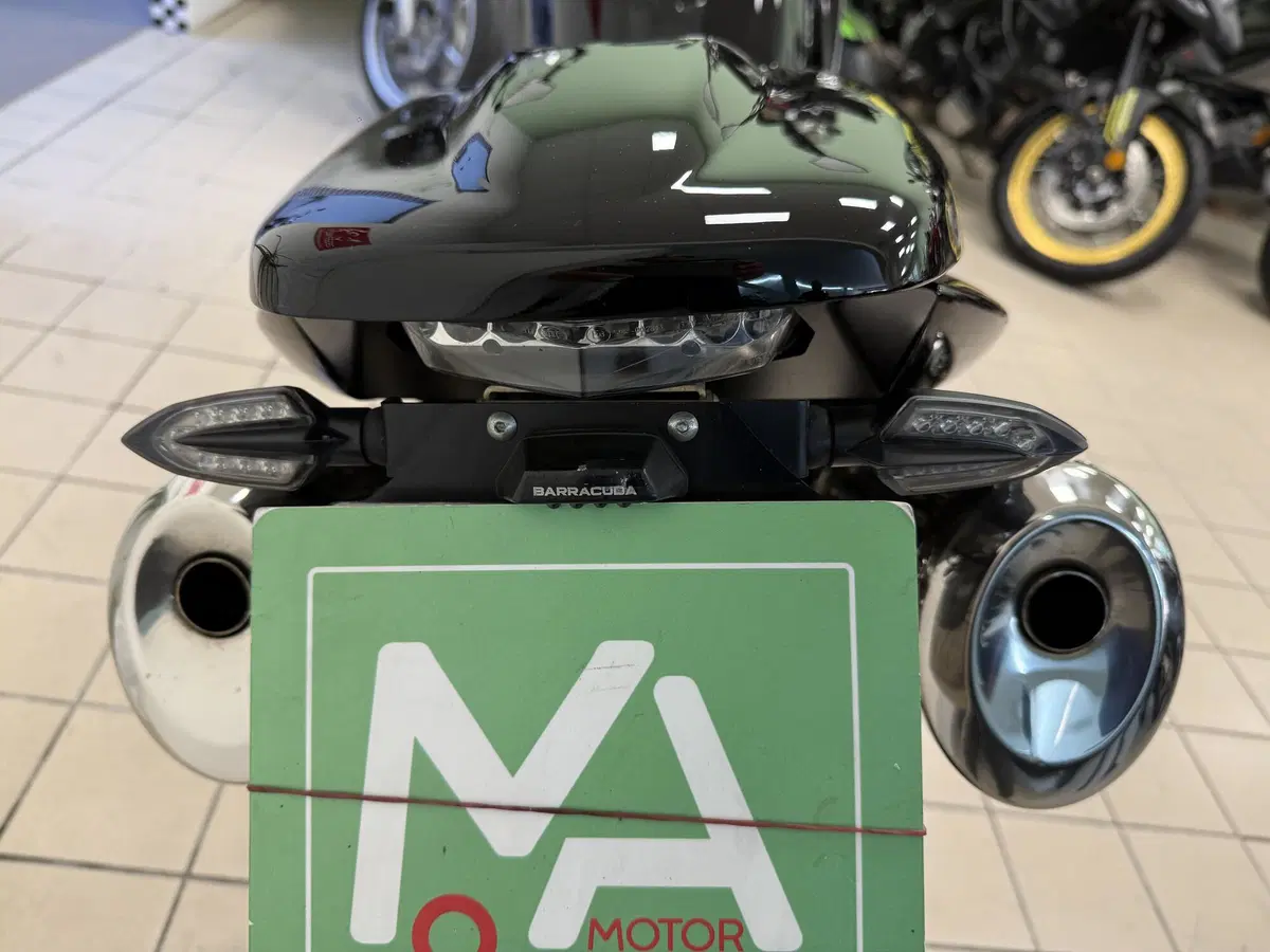 Triumph Speed Triple 1050 (2005 - 11) (8)