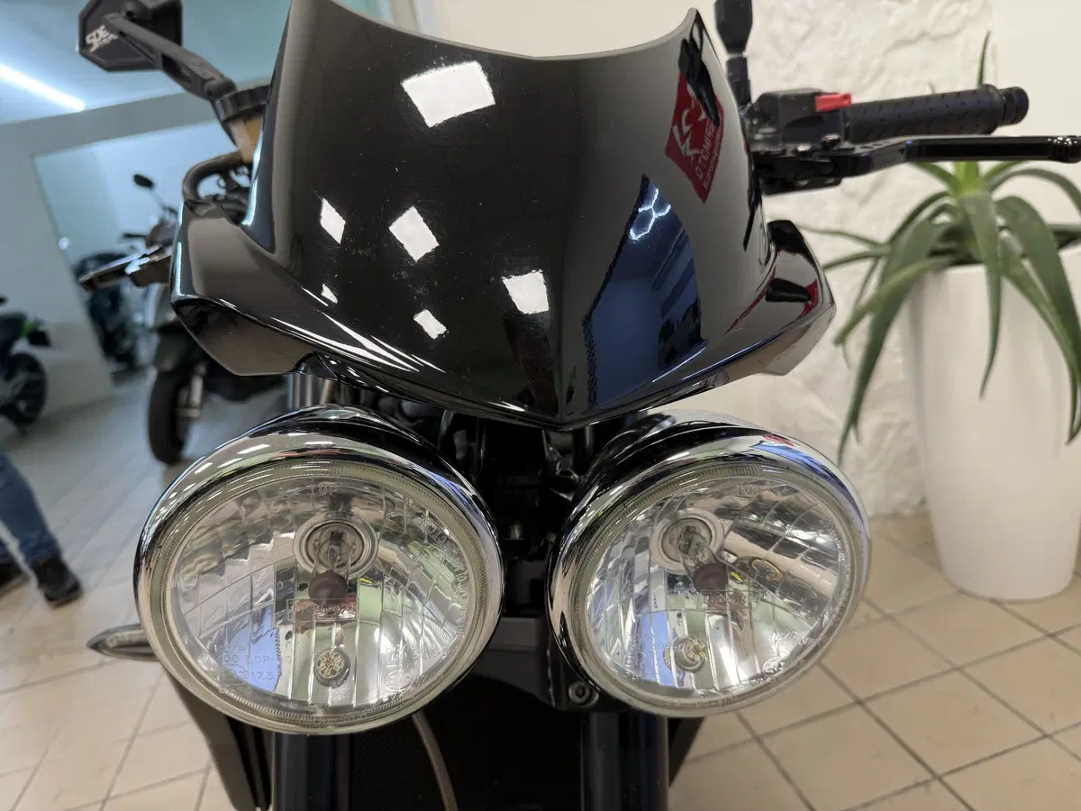 Triumph Speed Triple 1050 (2005 - 11) (9)