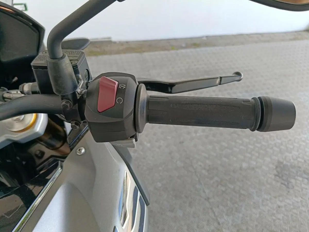 Bmw G 310 GS (2017 - 20) (9)