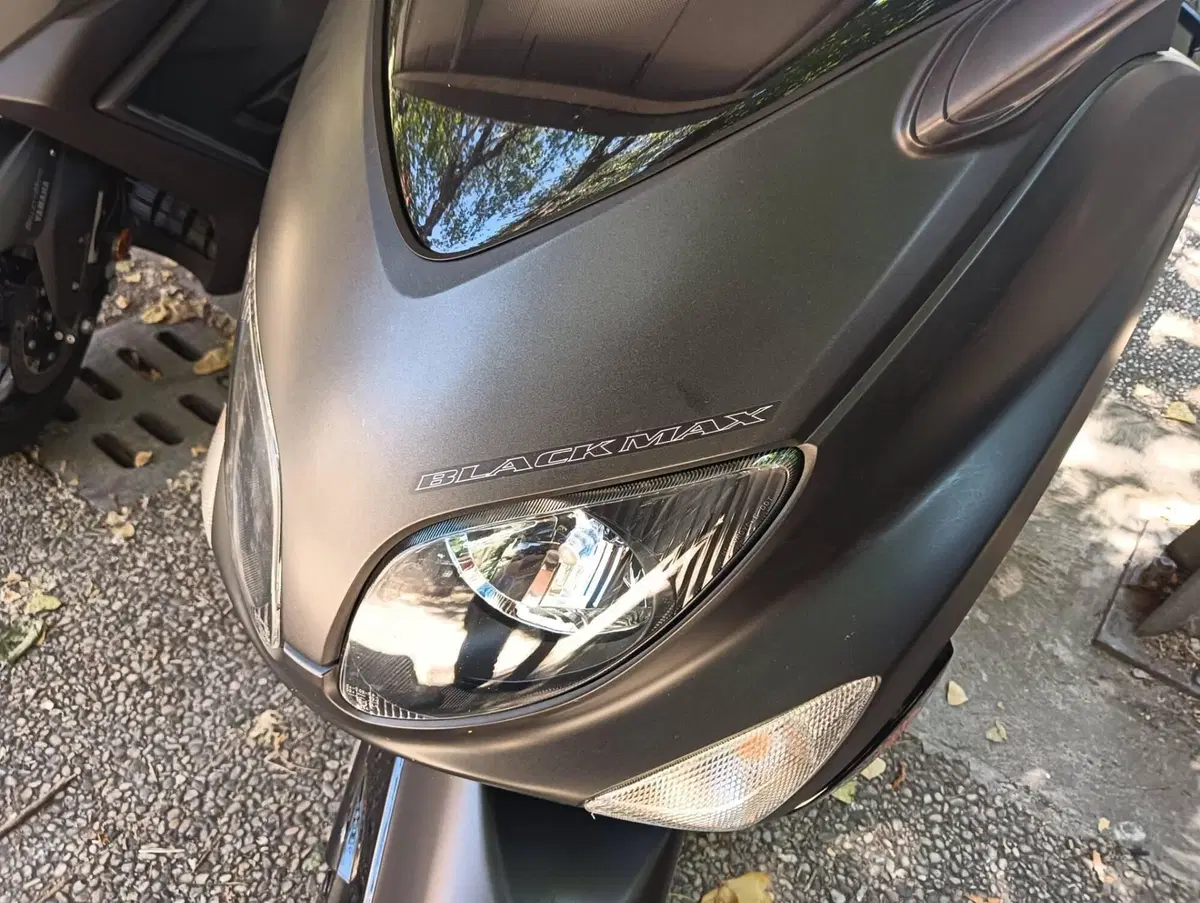 Yamaha T-Max 500 Black Max (2006 - 07) (4)