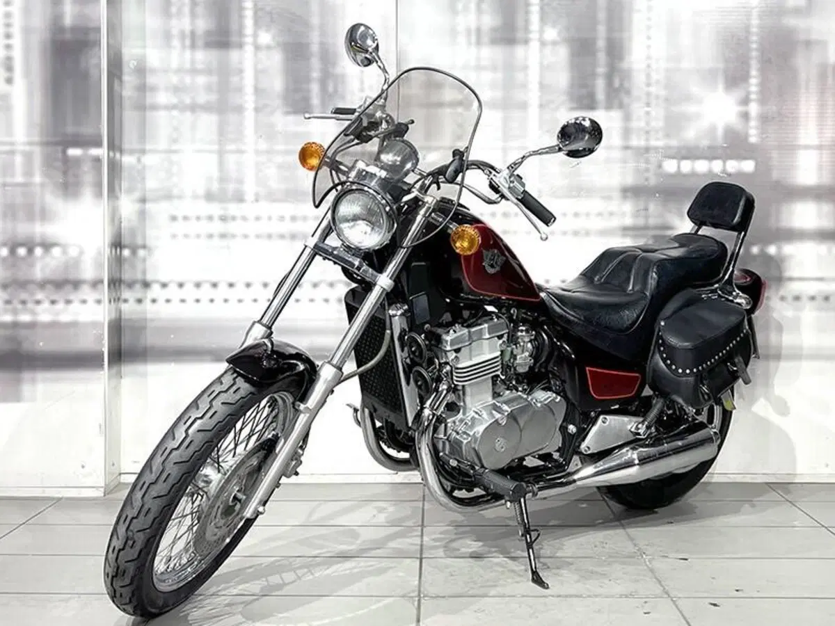 Kawasaki EN 500 (1991 - 96) (7)
