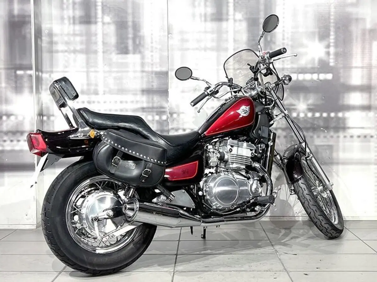 Kawasaki EN 500 (1991 - 96) (8)