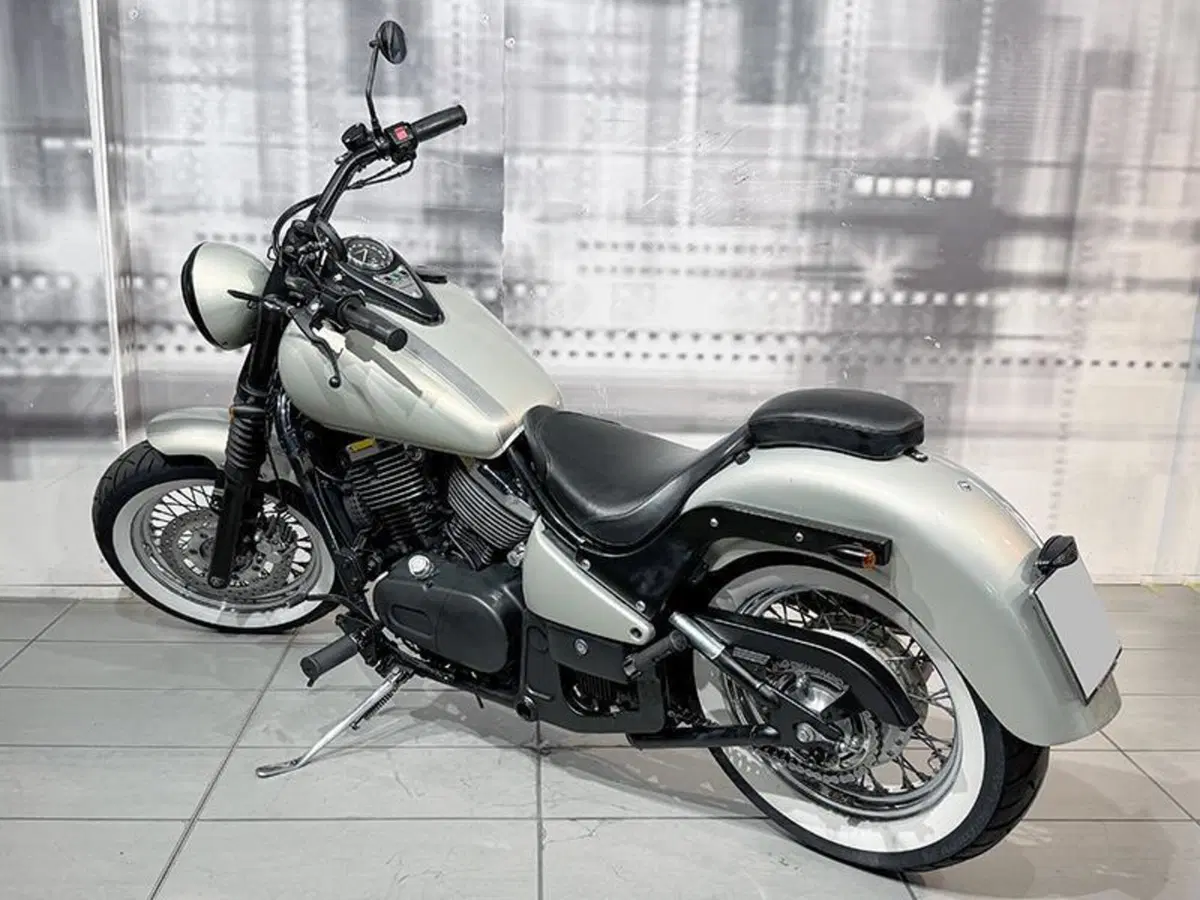 Kawasaki VN 800 (1995 - 98) (2)