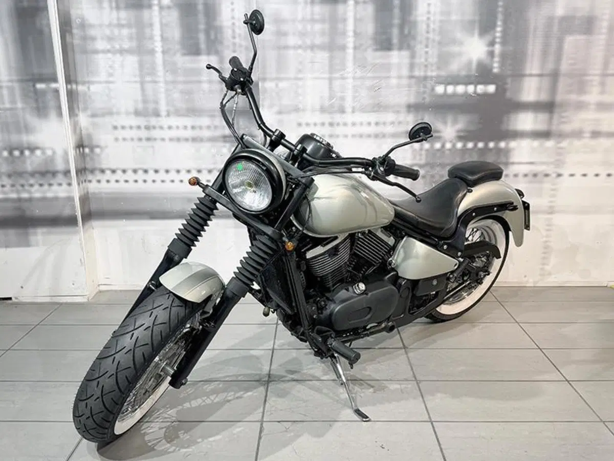 Kawasaki VN 800 (1995 - 98) (7)