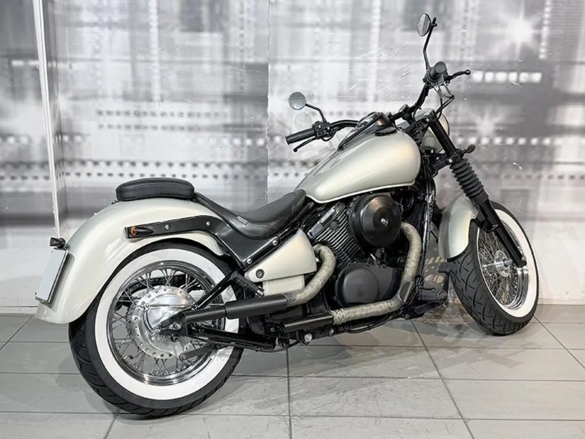 Kawasaki VN 800 (1995 - 98) (8)