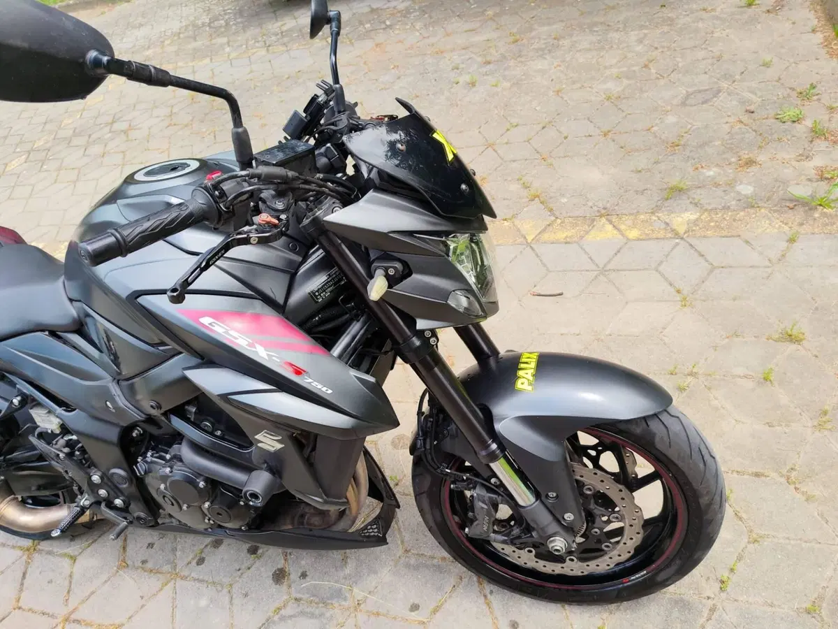 Suzuki GSX S 750 Z Yugen (2018 - 20) (6)