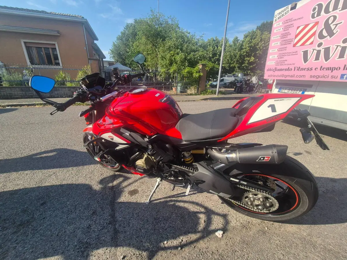 Ducati Streetfighter V4 (2023 - 24) (3)