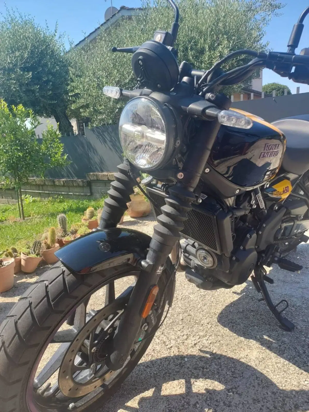 Royal Enfield Guerrilla 450 (2024 - 26) (3)