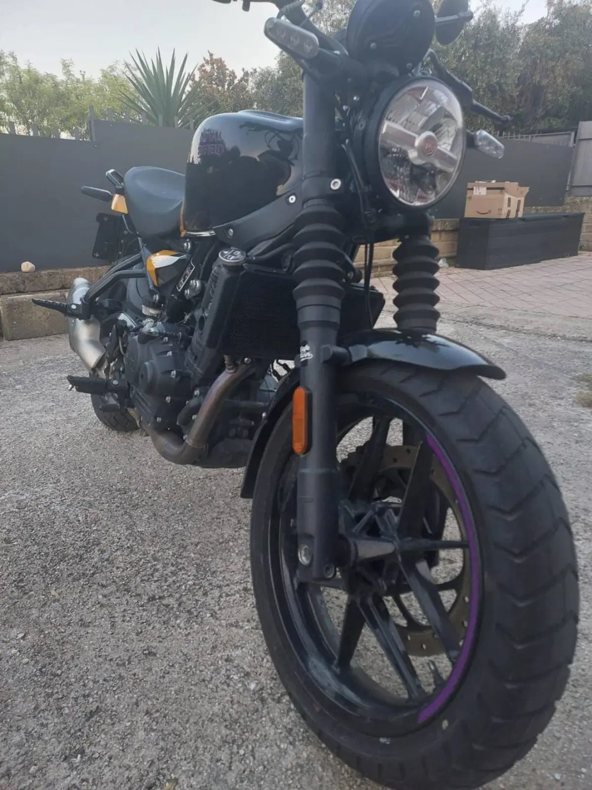 Royal Enfield Guerrilla 450 (2024 - 26) (6)