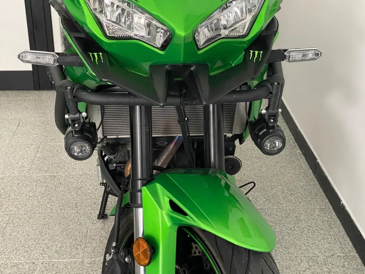 Kawasaki Versys 650 (2021 - 24) (3)