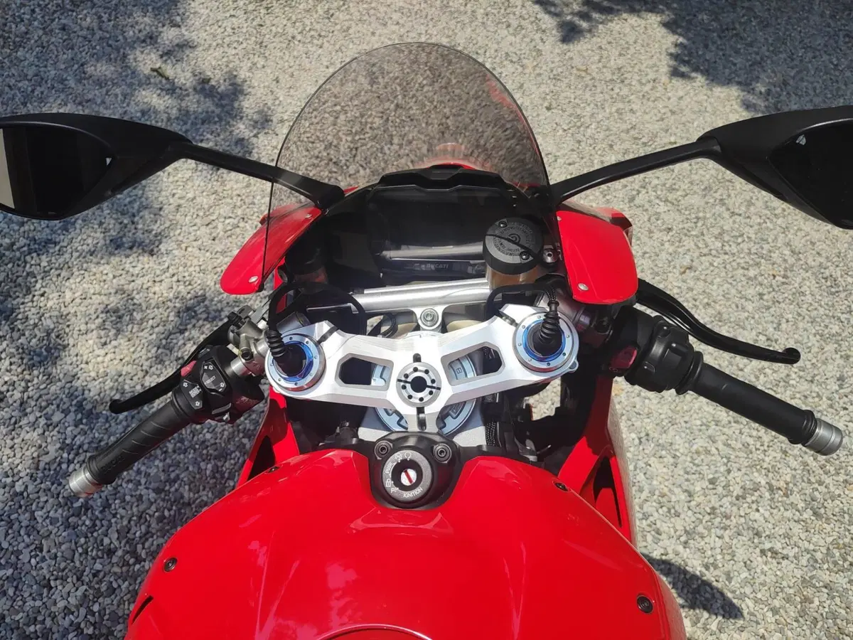 Ducati Panigale V4 S 1100 (2018 - 19) (4)