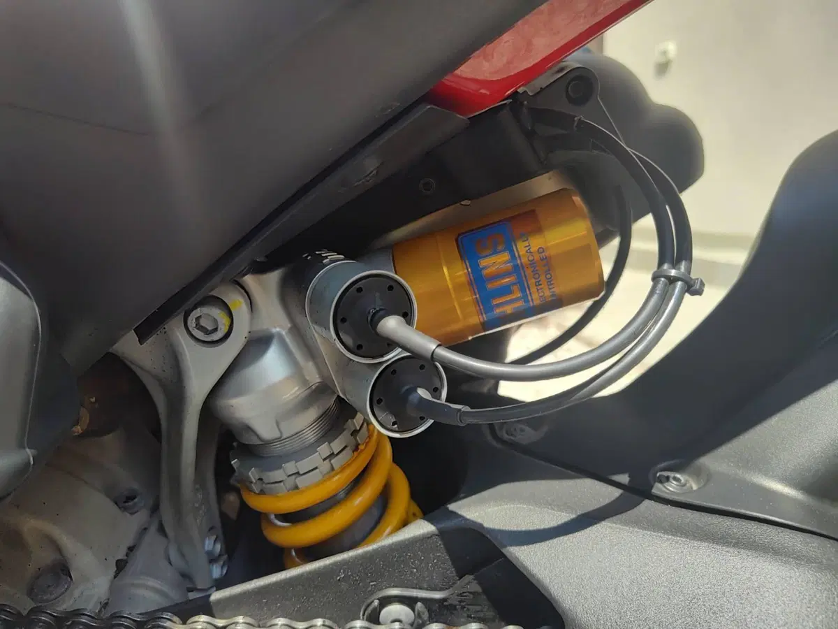 Ducati Panigale V4 S 1100 (2018 - 19) (8)