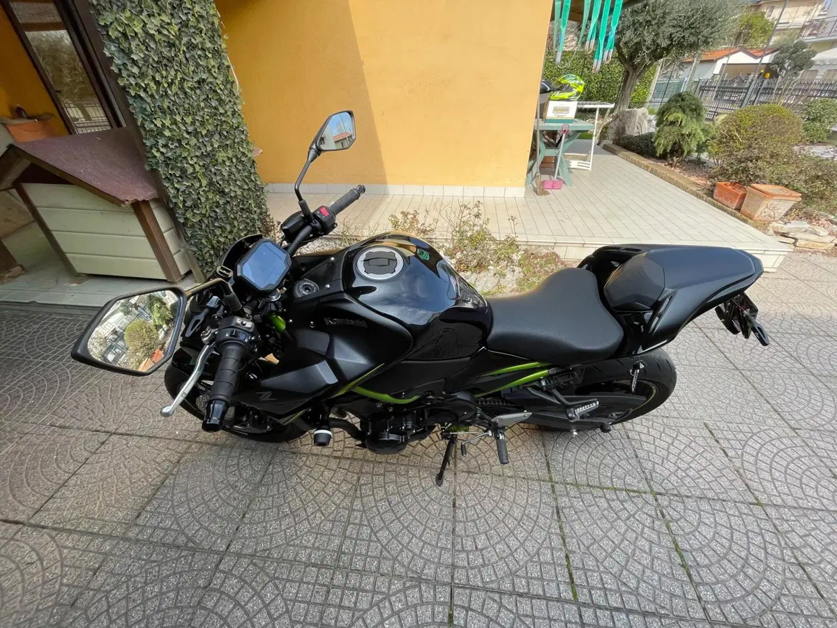 Kawasaki Z 900 (2021 - 24) (6)