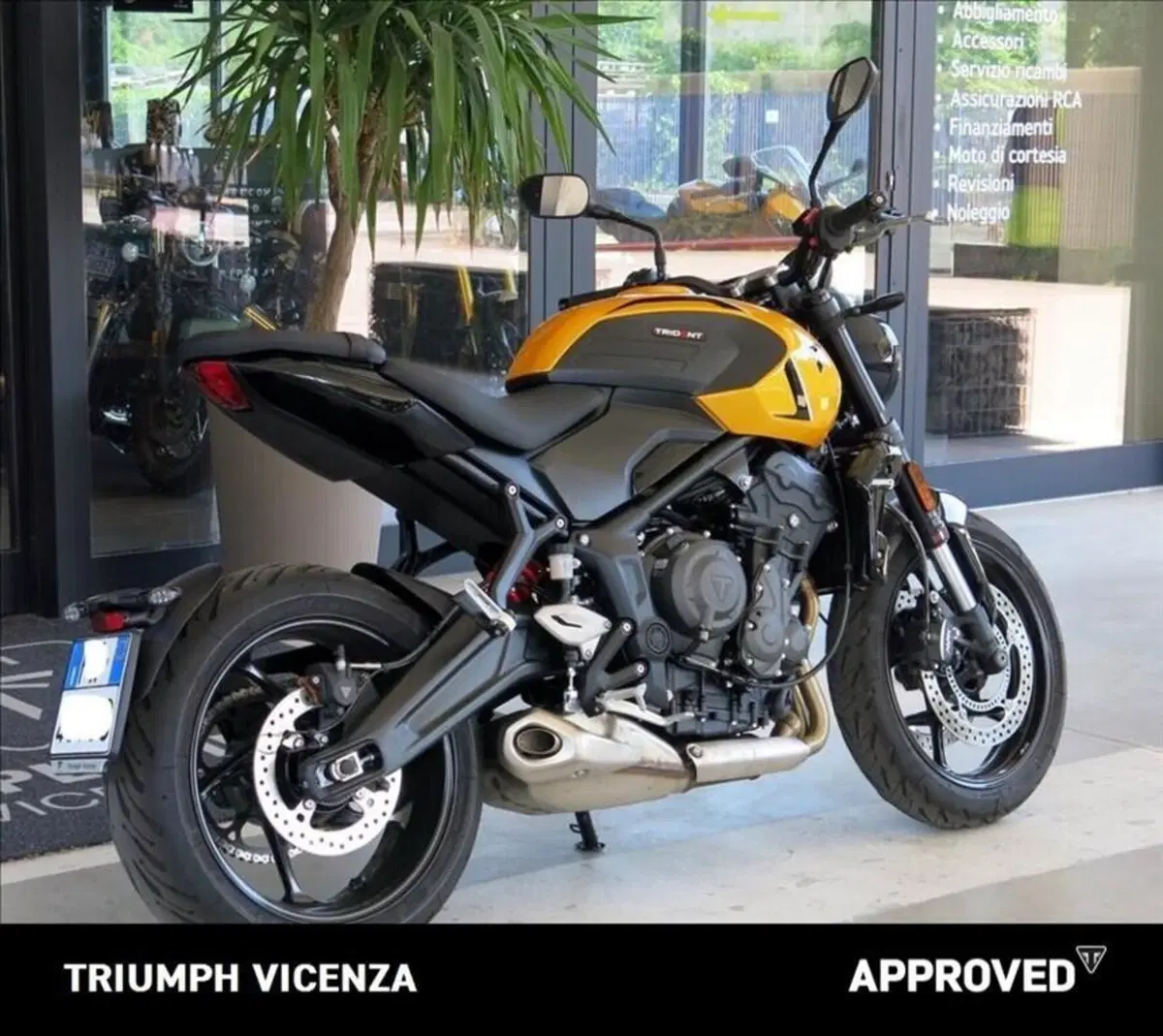 Triumph Trident 660 (2026) (3)
