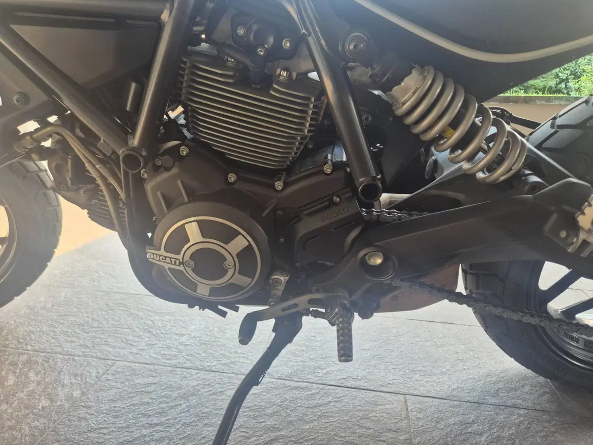 Ducati Scrambler 800 Classic (2015 - 16) (8)