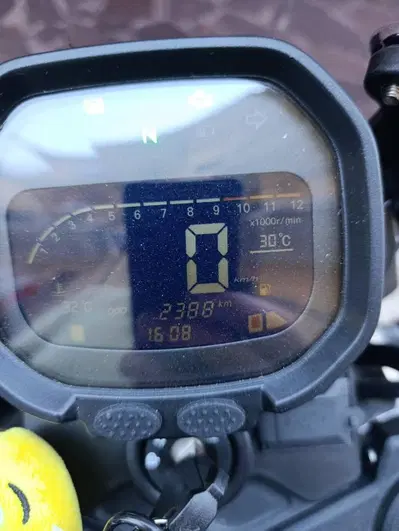 Voge Trofeo 300ACX Scrambler (2021 - 26) usata