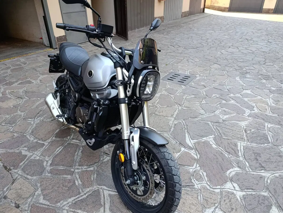 Voge Trofeo 300ACX Scrambler (2021 - 26) (2)