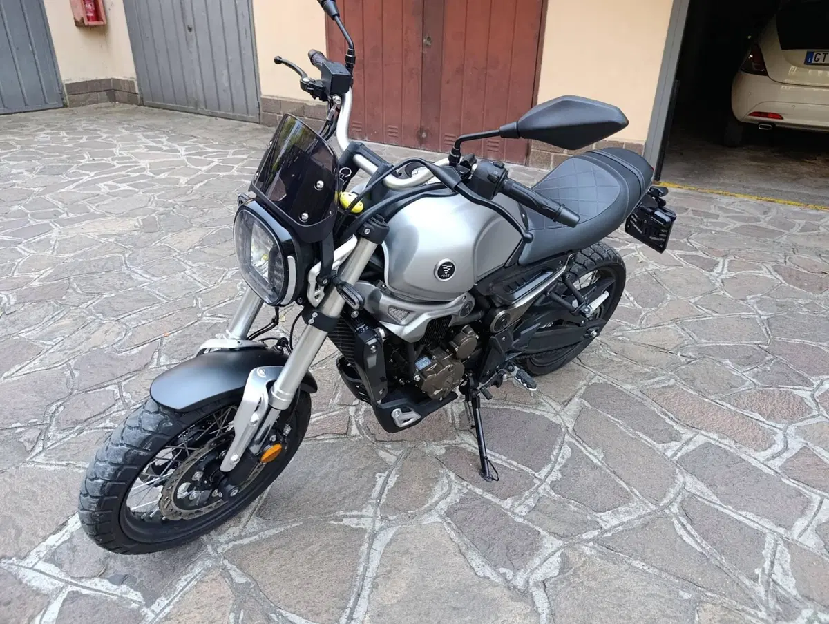 Voge Trofeo 300ACX Scrambler (2021 - 26) (3)