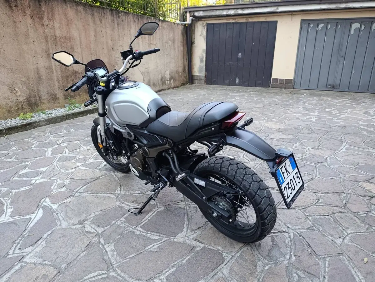 Voge Trofeo 300ACX Scrambler (2021 - 26) (4)