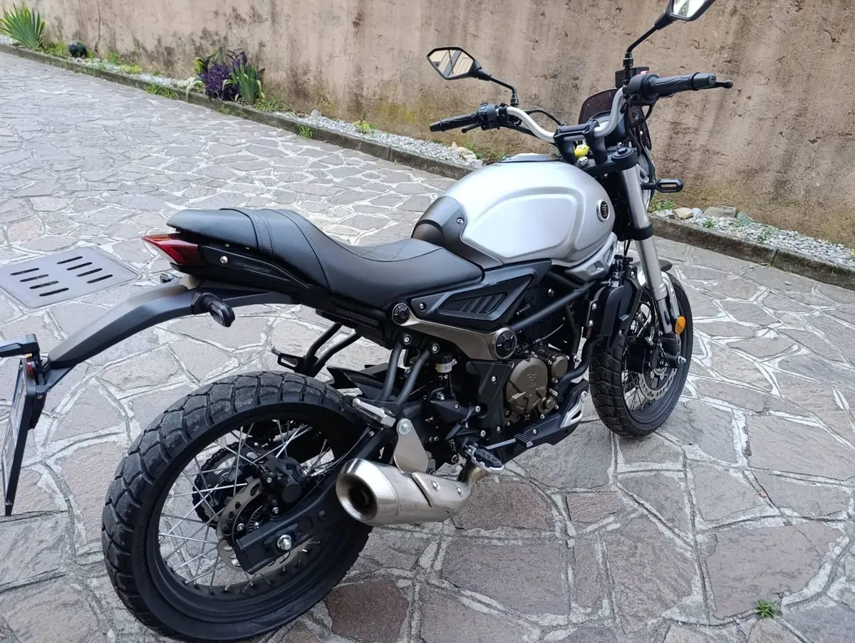 Voge Trofeo 300ACX Scrambler (2021 - 26) (5)