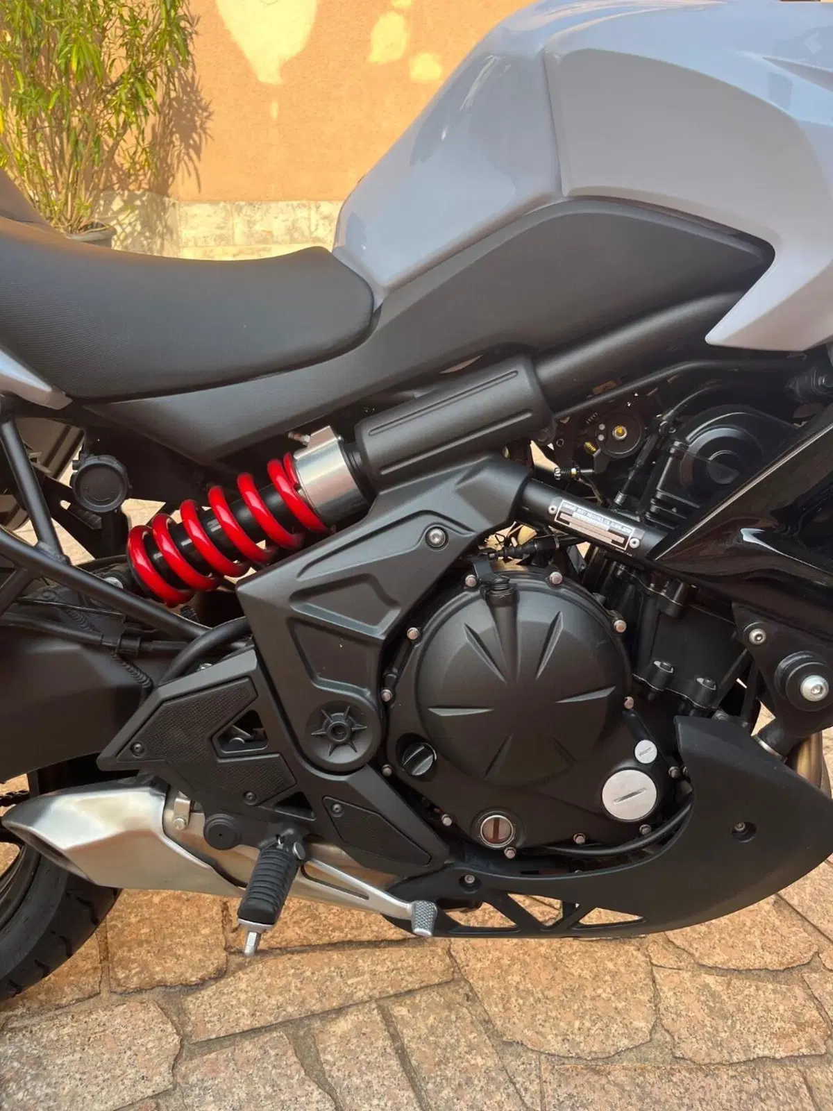 Kawasaki Versys 650 ABS (2015 - 16) (4)