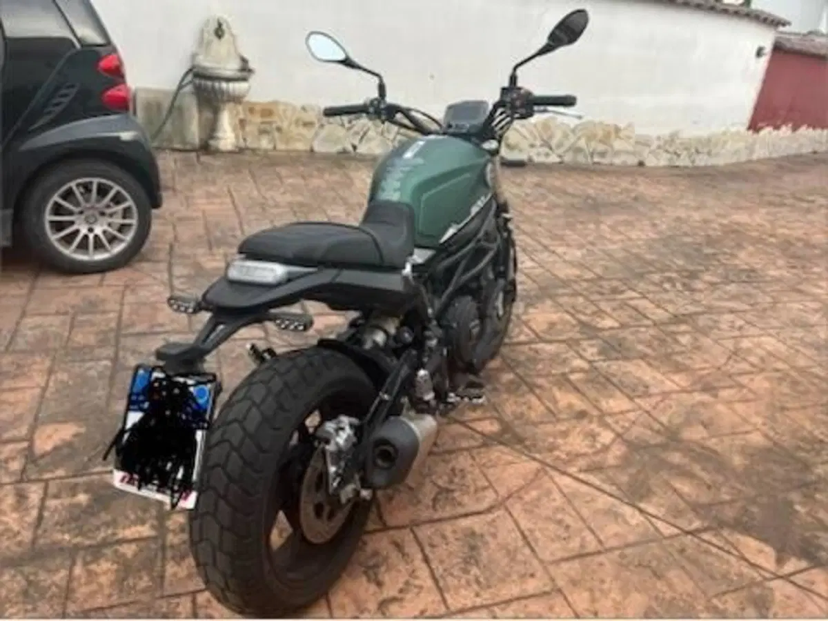 Benelli Leoncino 800 (2022 - 26) (3)