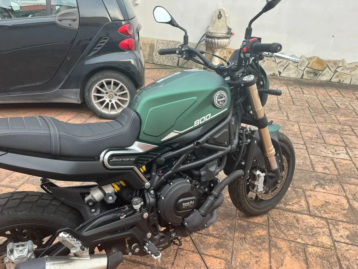 Benelli Leoncino 800 (2022 - 26) (4)