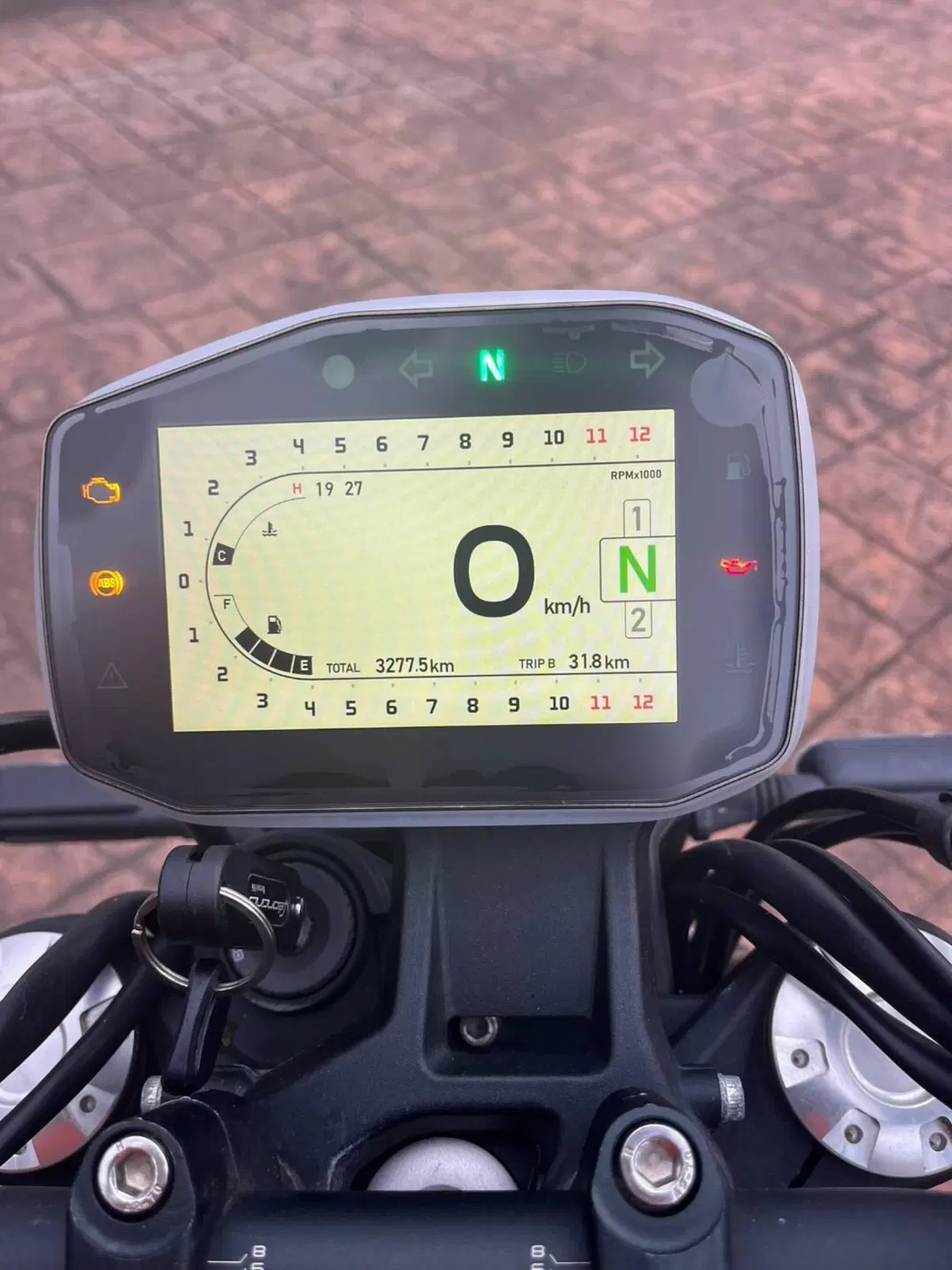 Benelli Leoncino 800 (2022 - 26) (7)