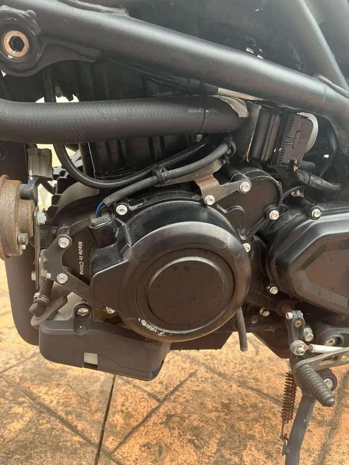 Benelli Leoncino 800 (2022 - 26) (8)