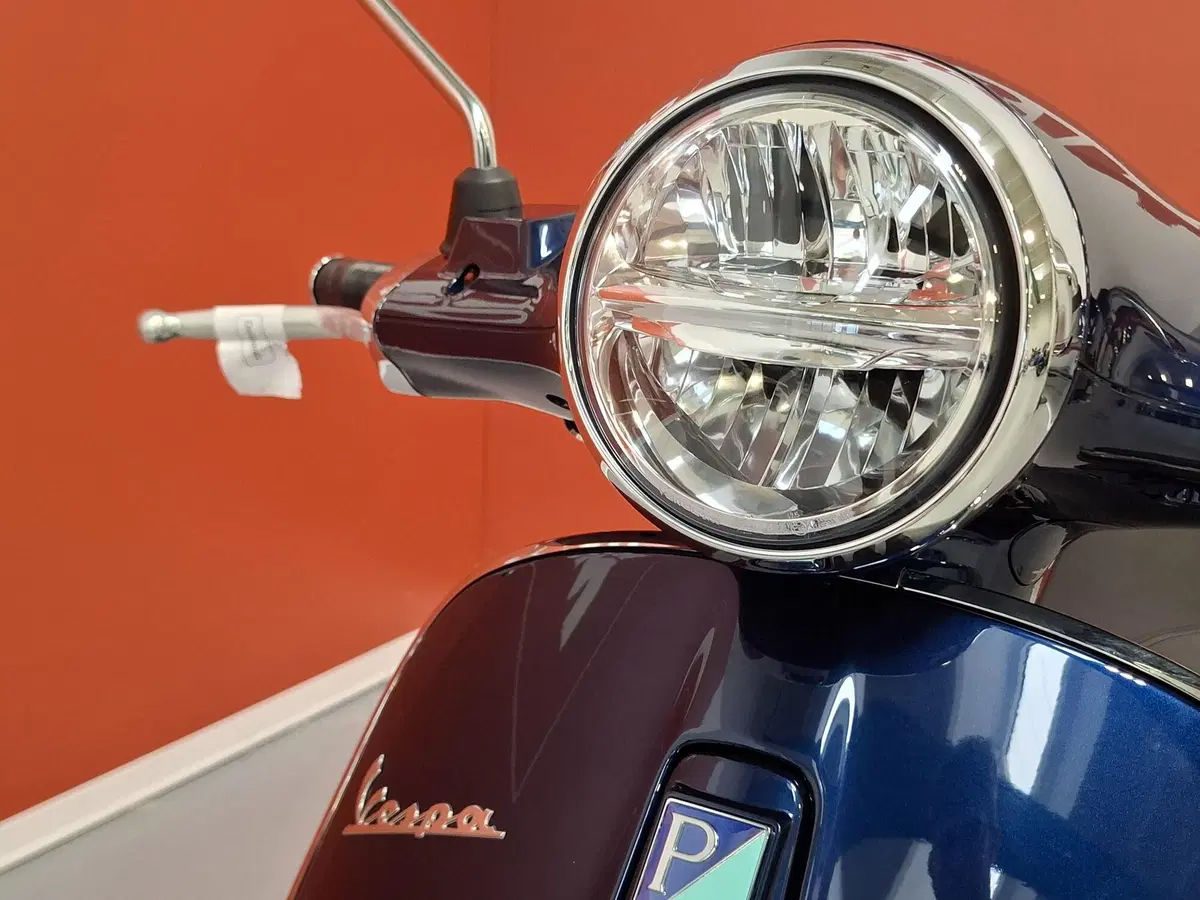 Vespa Primavera 150 (2024 - 25) (10)