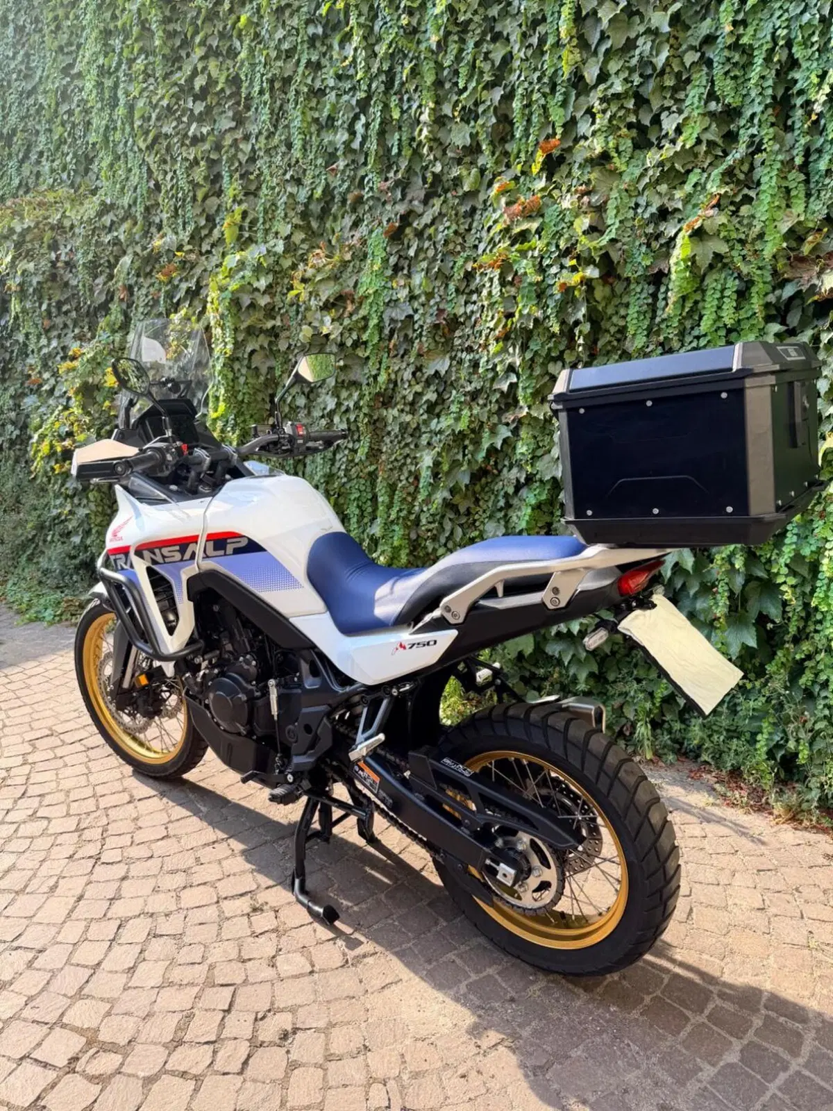 Honda Transalp XL750 (2025) (5)