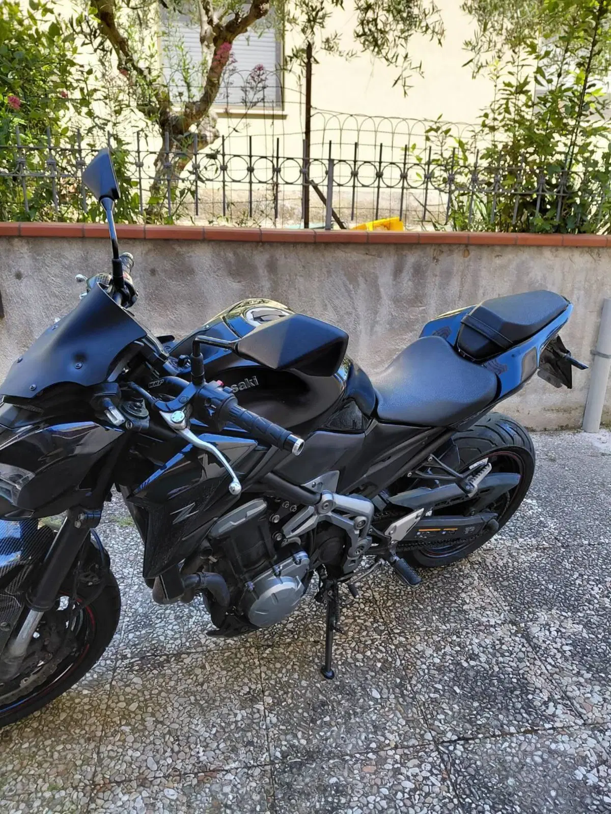 Kawasaki Z 900 A2 (2019)