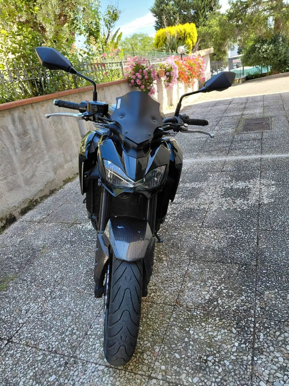 Kawasaki Z 900 A2 (2019) (2)
