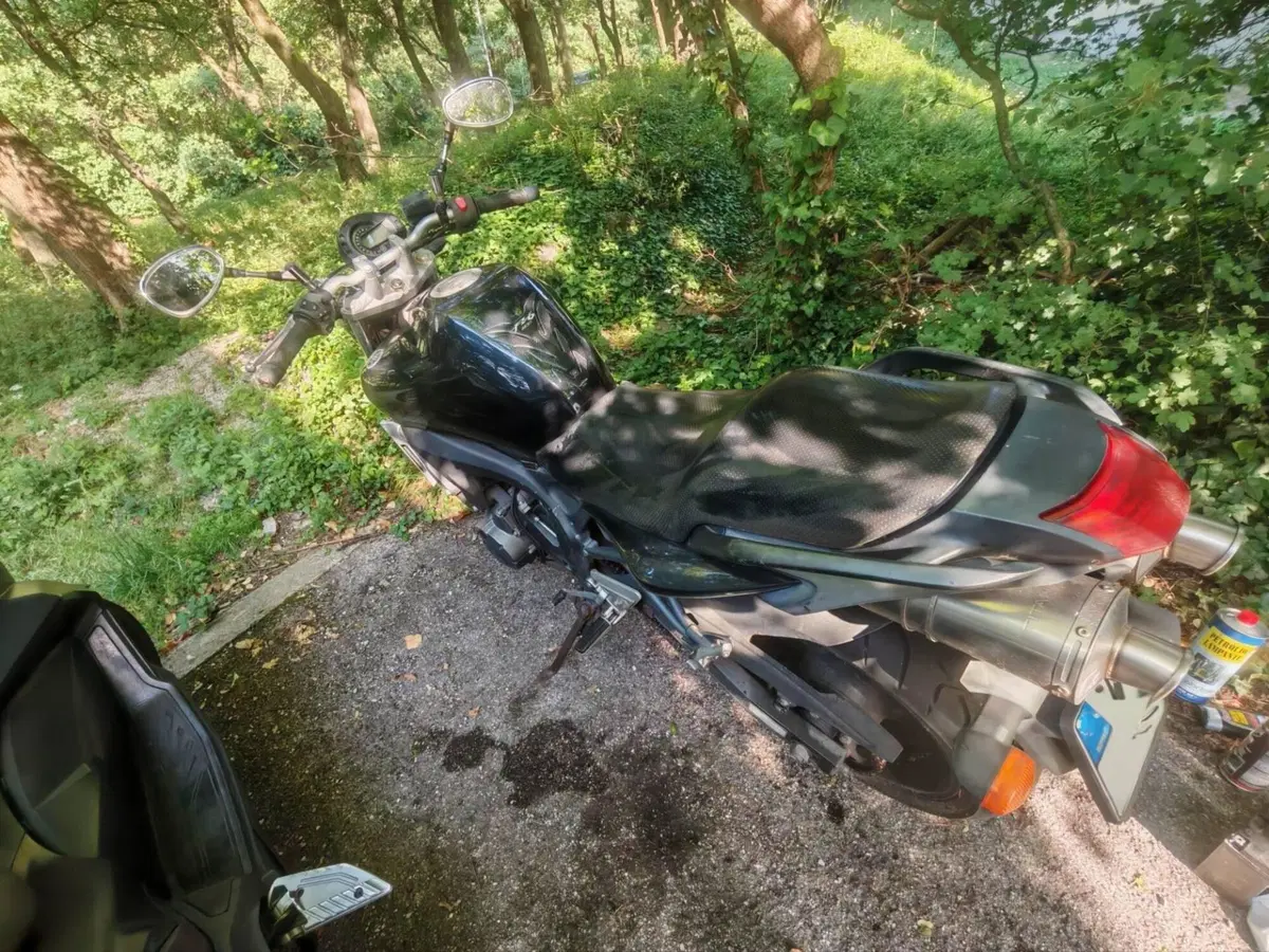 Yamaha FZ6 (2004 - 07)