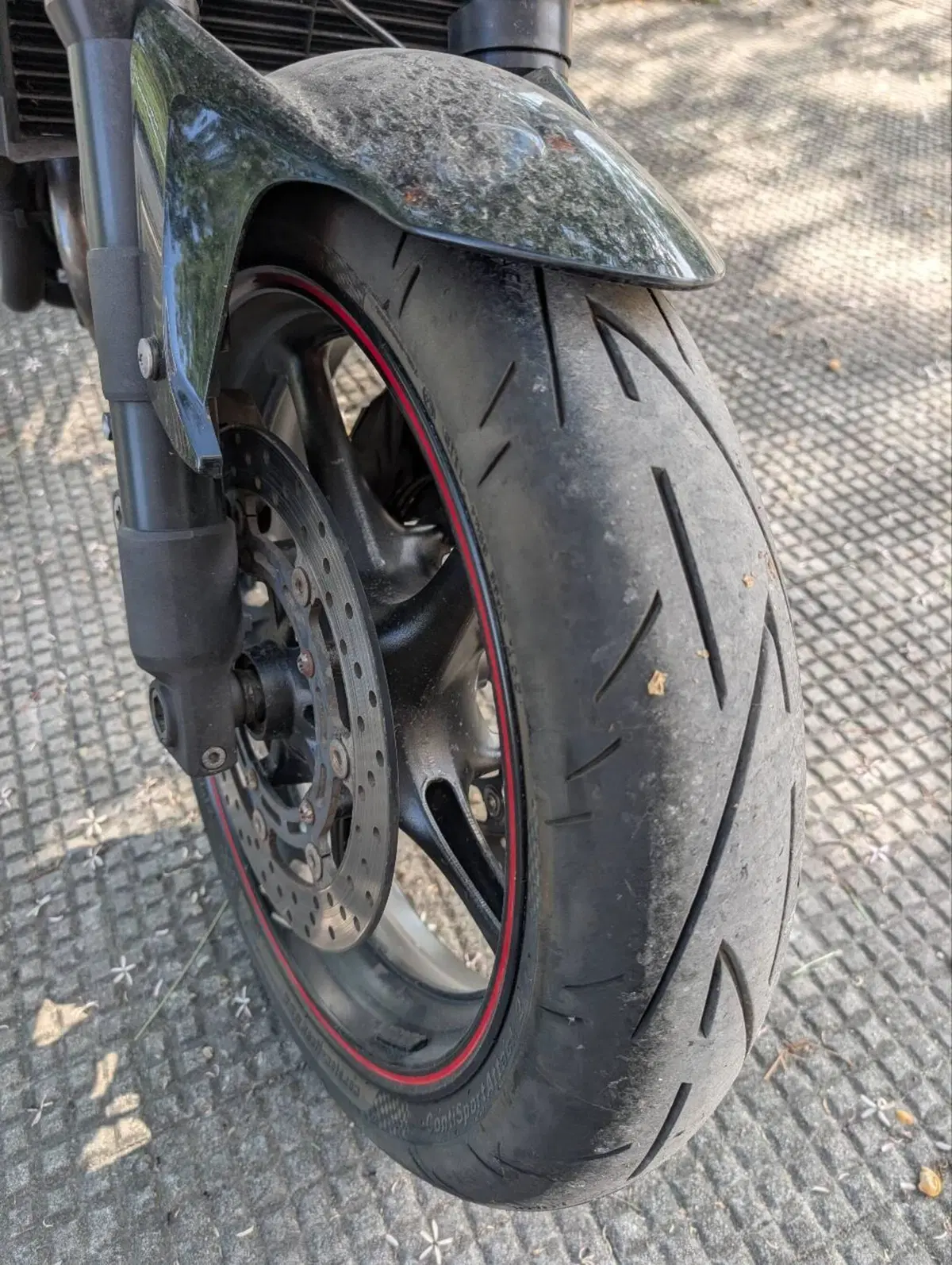 Yamaha FZ6 S2 (2007 - 11) (14)