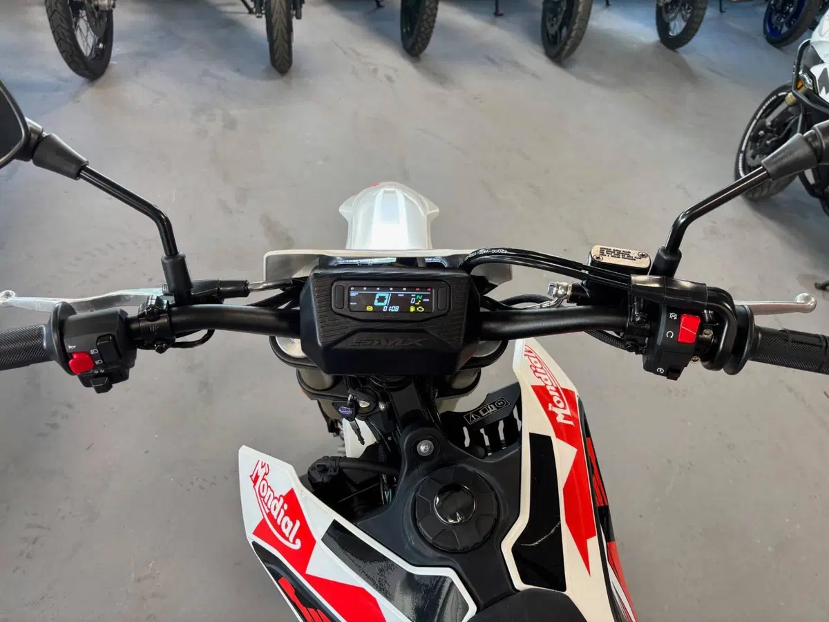 FB Mondial SMX 125 Enduro (2025 - 26) (3)