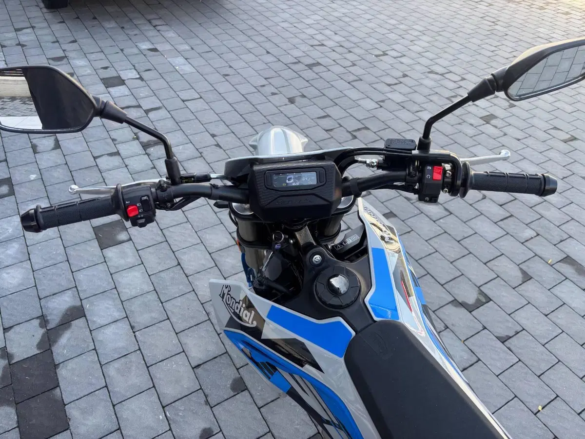 FB Mondial SMX 300 Enduro (2025 - 26) (3)