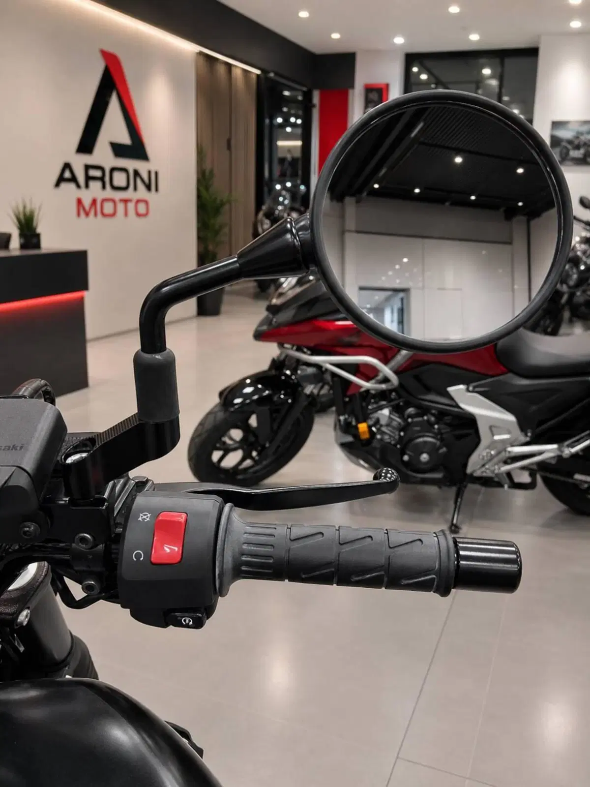 Kawasaki Eliminator 500 SE (2024 - 26) (6)