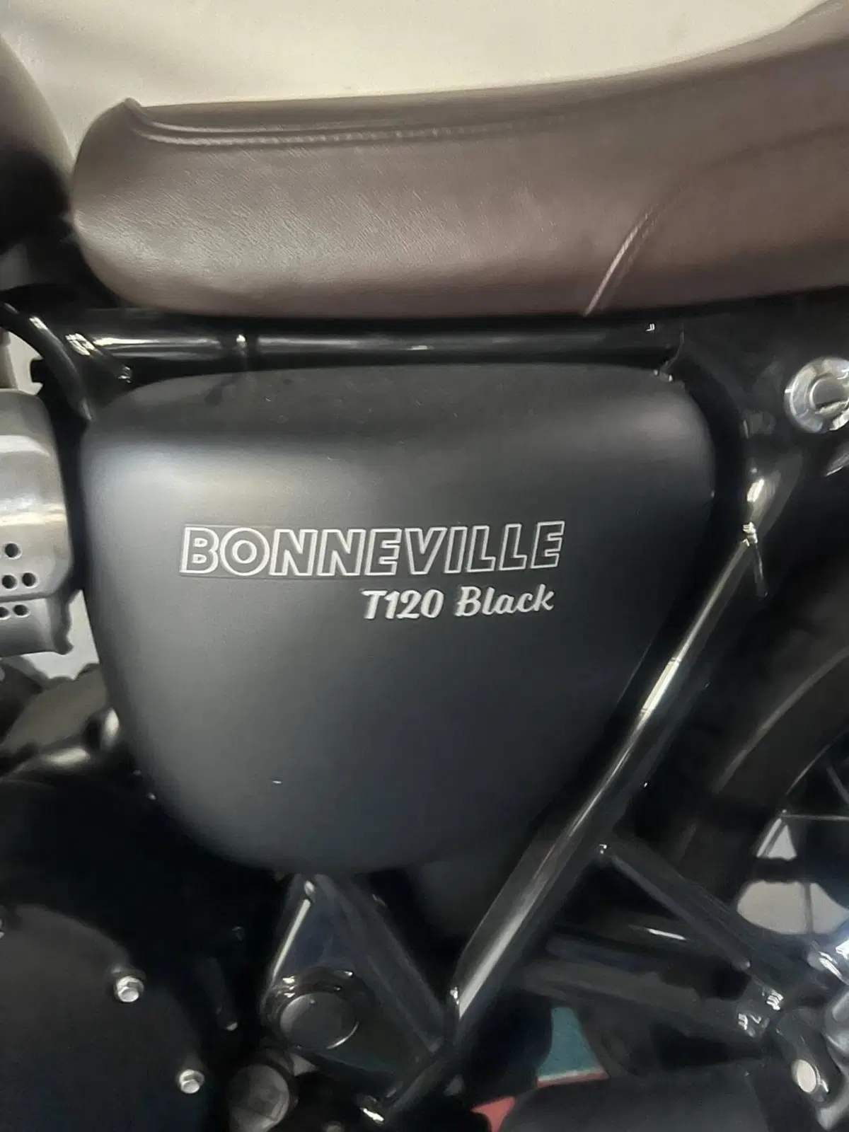 Triumph Bonneville T120 (2016 - 20) (6)