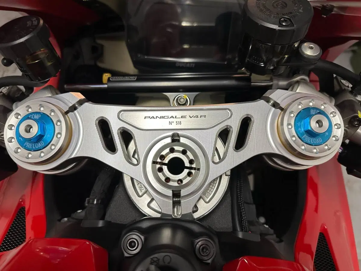 Ducati Panigale V4 R (2023 - 24) (5)
