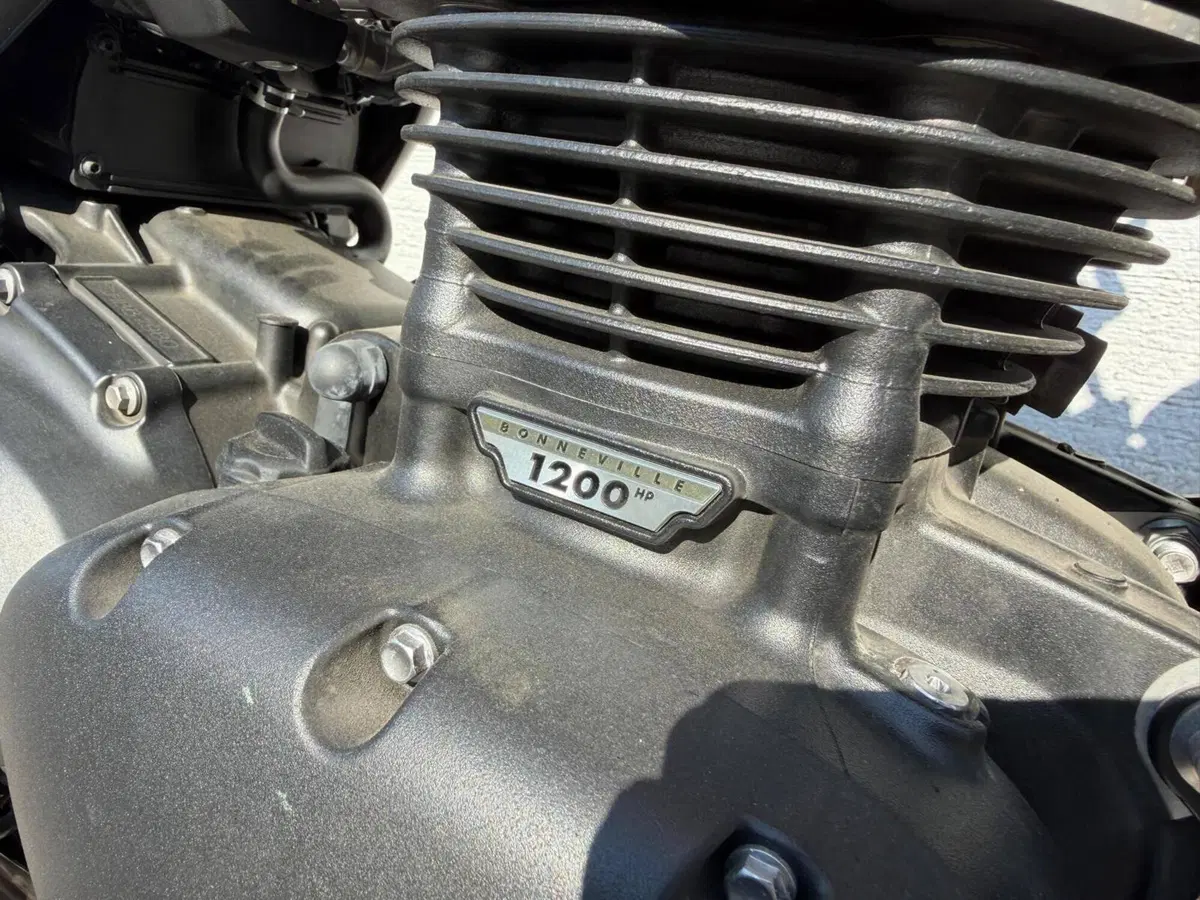 Triumph Speed Twin 1200 (2021 - 24) (5)