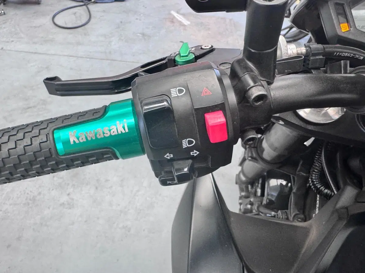 Kawasaki Z 800 e ABS (2012 - 16) (10)