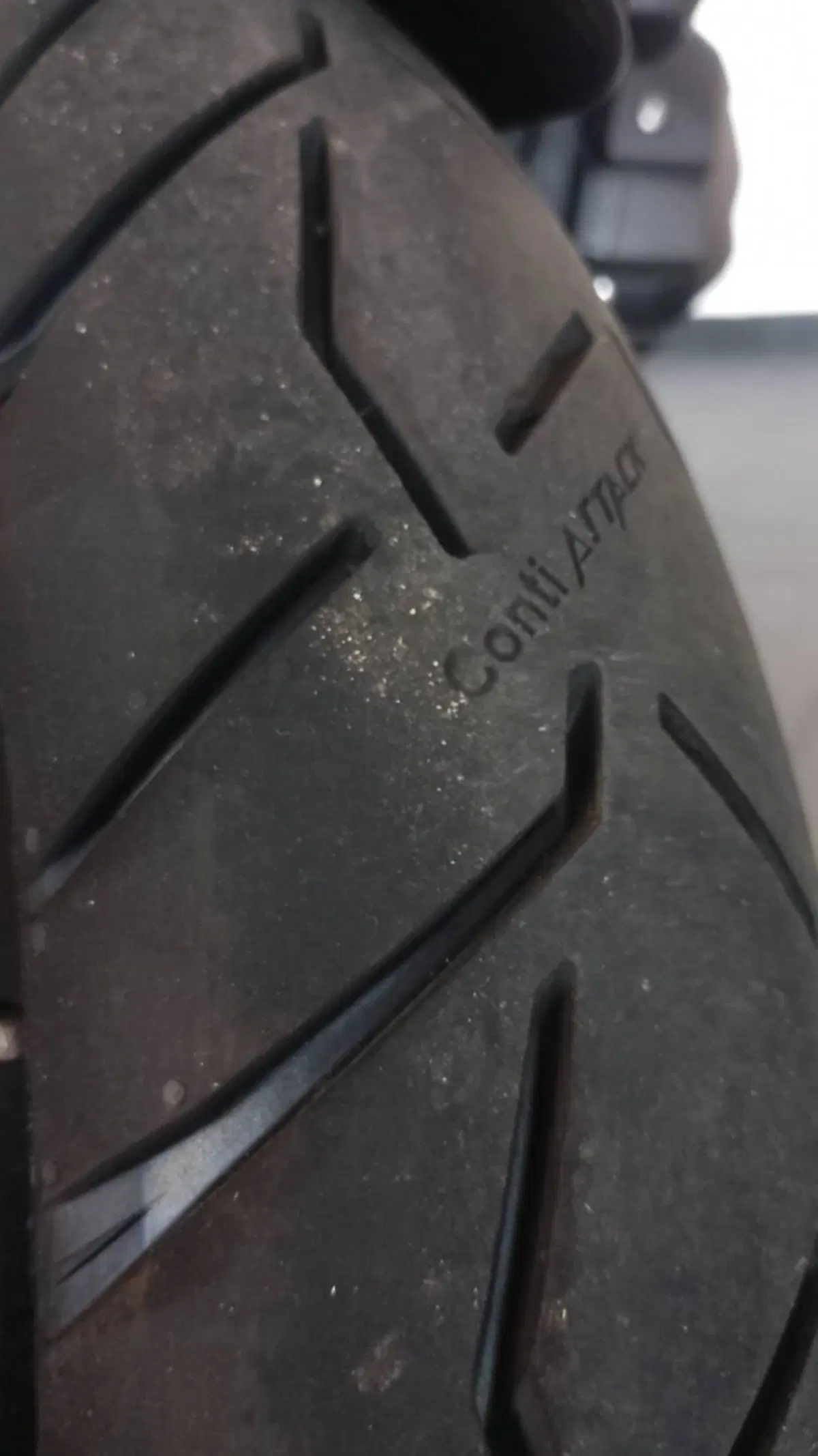 Bmw R 1300 GS Trophy (2023 - 26) (8)