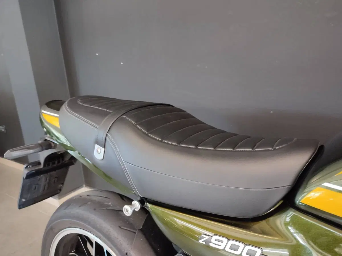 Kawasaki Z 900 RS (2018 - 20) (6)