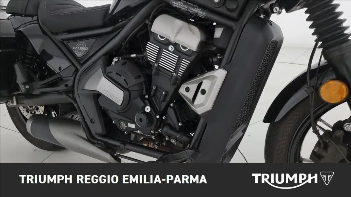 Moto Morini Calibro Custom (2024 - 26) (18)