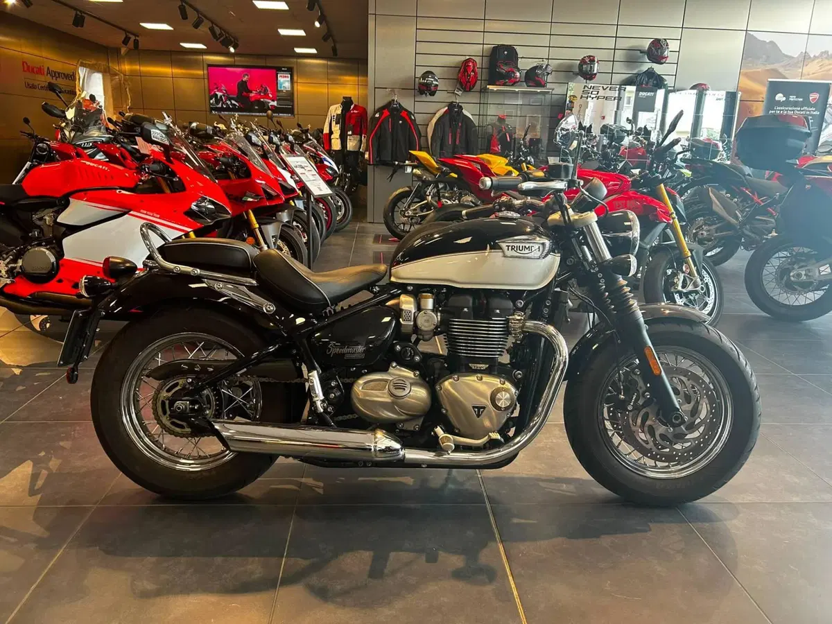Triumph Bonneville Speedmaster 1200 Chrome Edition (2023) (2)