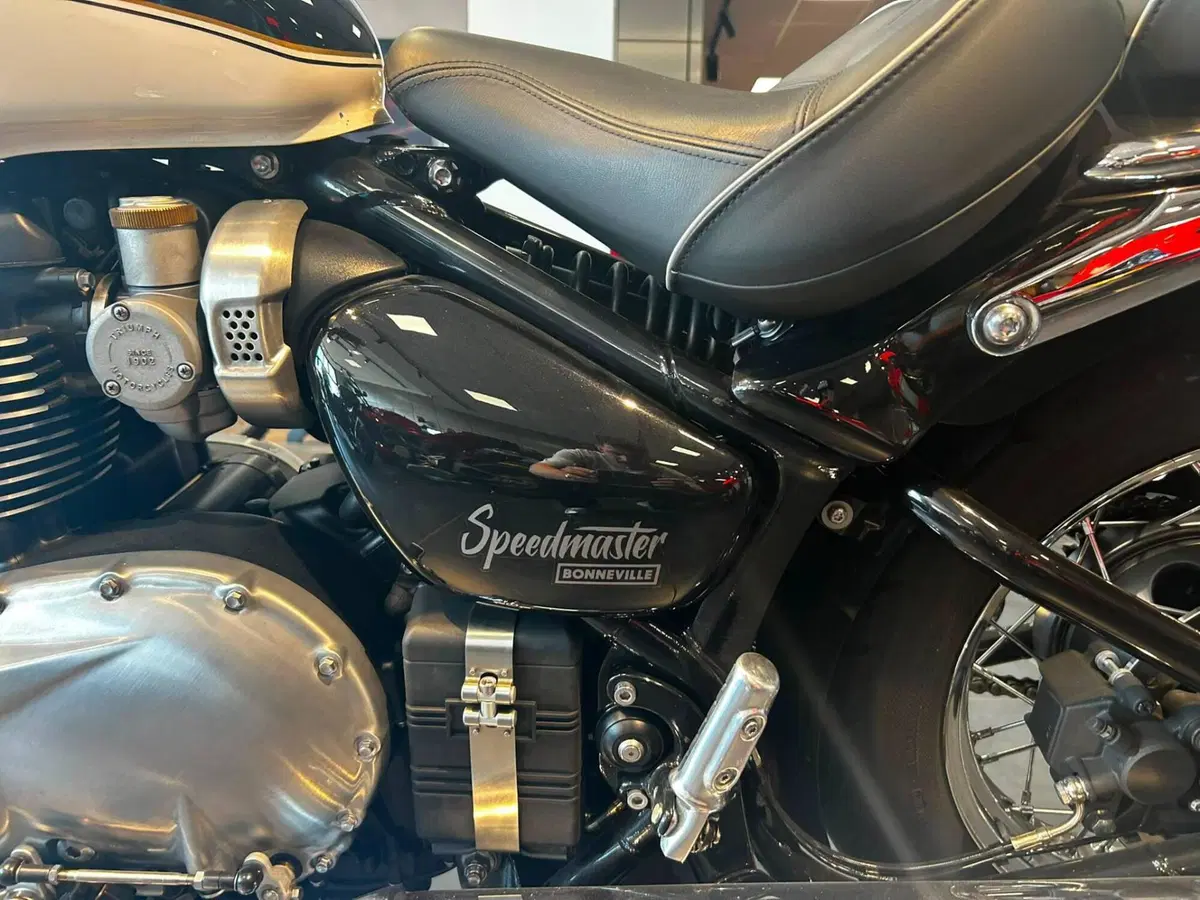 Triumph Bonneville Speedmaster 1200 Chrome Edition (2023) (6)